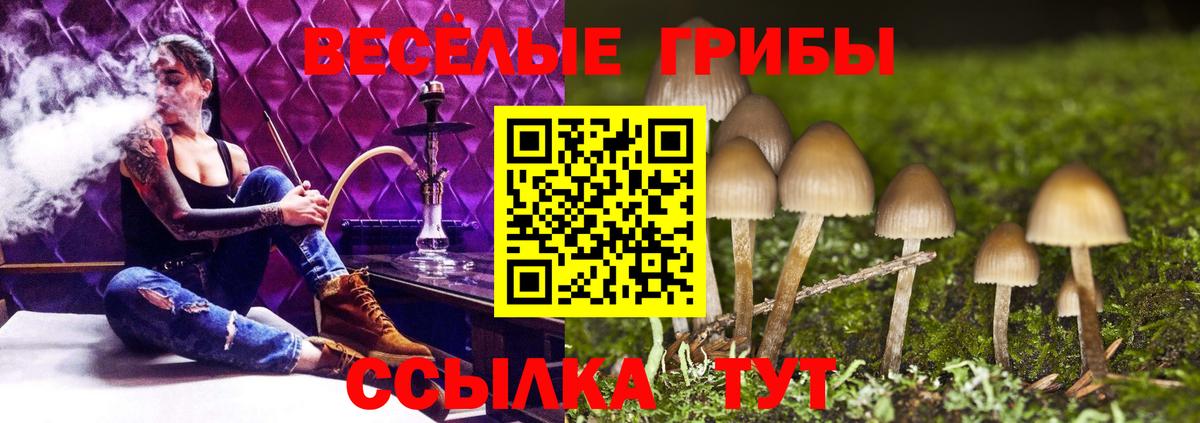 Галлюциногенные грибы мицелий  Галлюциногенные грибы GOLDEN TEACHER  Вход с VPN  Можайск 