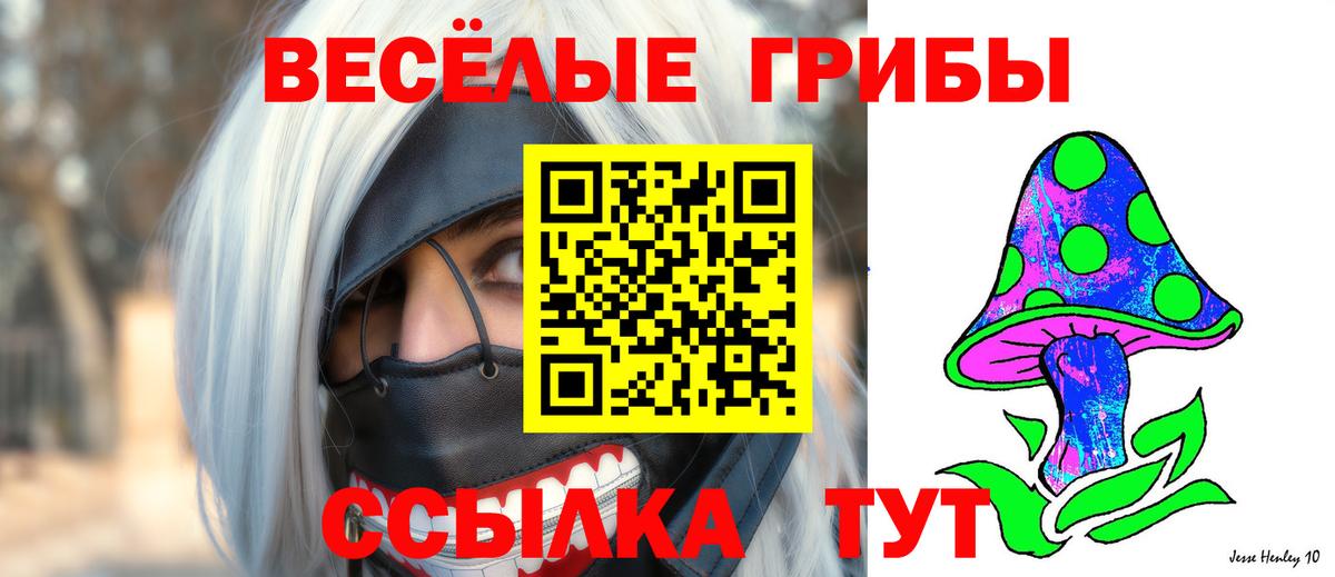 Псилоцибиновые грибы мухоморы Можайск